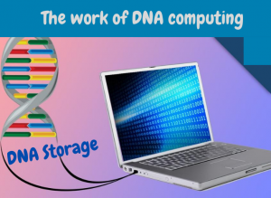 research on dna computing