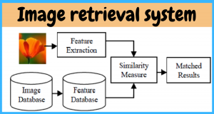 retrieval system ssla figure