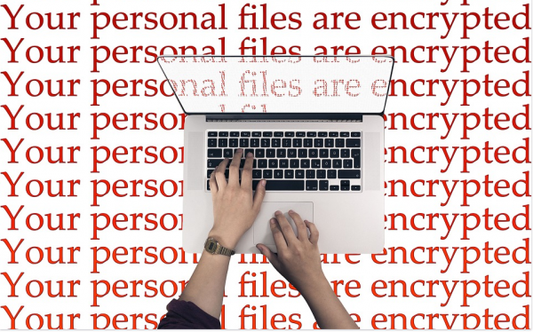 What Is Rsa Encryption And Where Is Rsa Encryption Used For Ssla co uk what-is-rsa-encryption-and-where-is-rsa-encryption-used-for-ssla-co-uk
