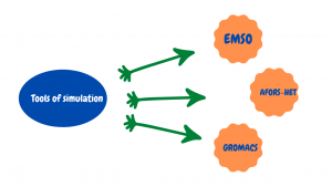 types of simulation