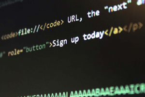 Low Level Developer