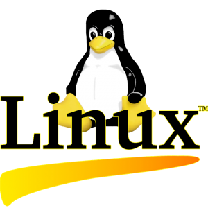 embedded linux software engineer